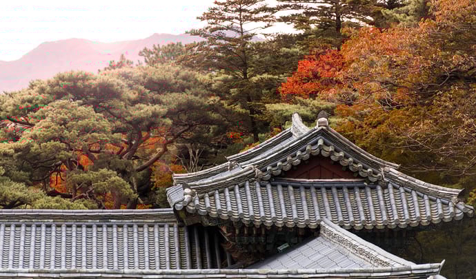 More about South Korea