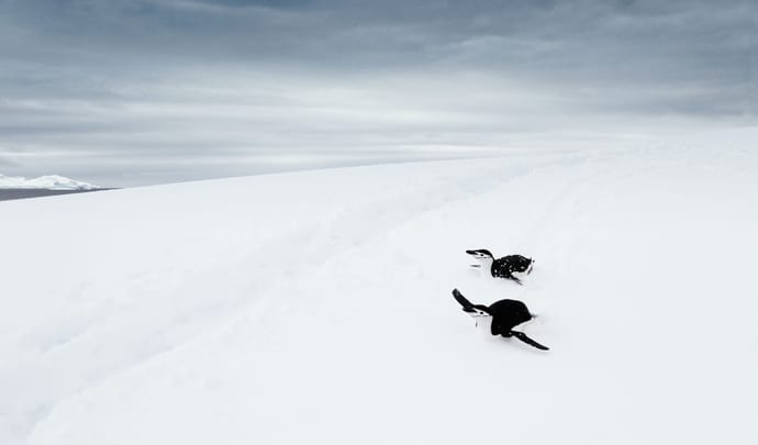 Luxury Holidays in Antarctica