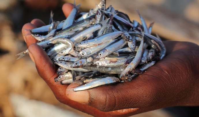 More about Malawi