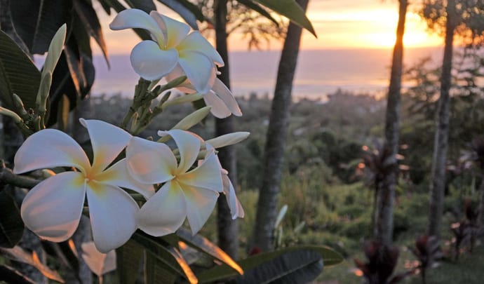 Private tours in the Cook Islands