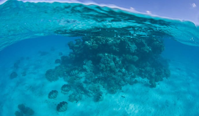 Honeymoons on the Cook Islands