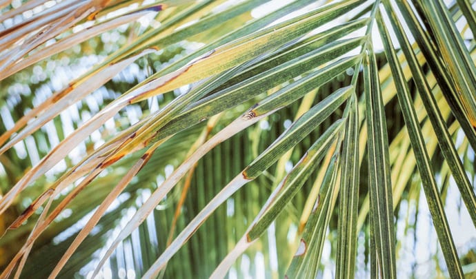 More about Turks and Caicos