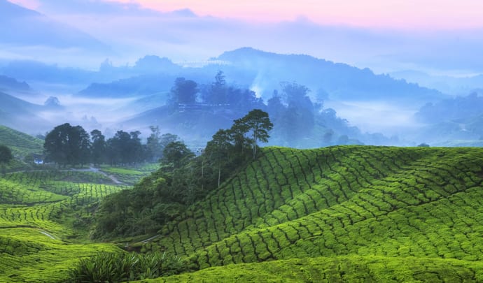 Private Tours in Malaysia