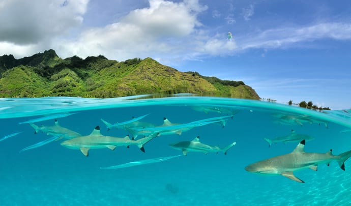 Luxury Holidays in French Polynesia