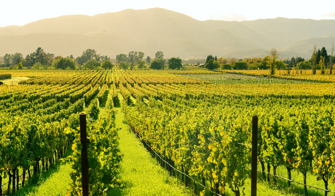 Napa Valley, USA