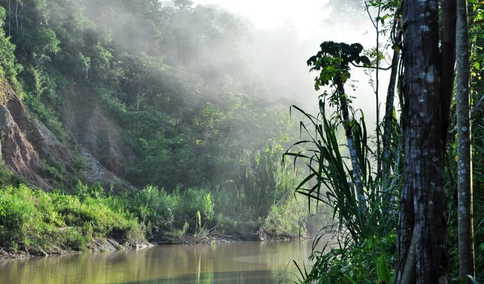 Amazon in Peru