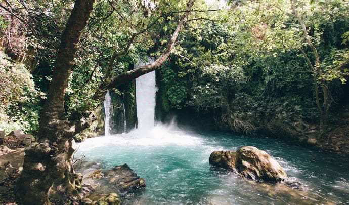 Ein Gedi Desert Oasis, Israel