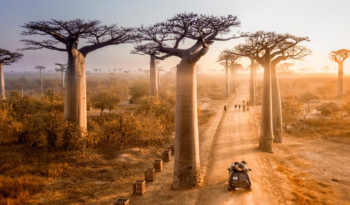 Luxury holidays to Madagascar