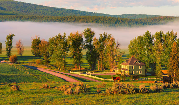 Paws Up Ranch, USA