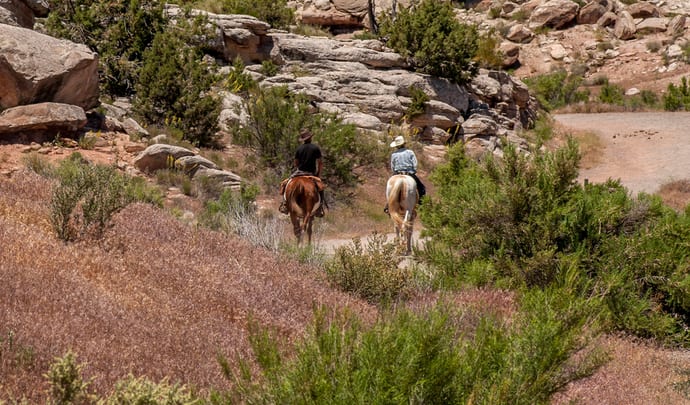 Horse Riding in the Rockies