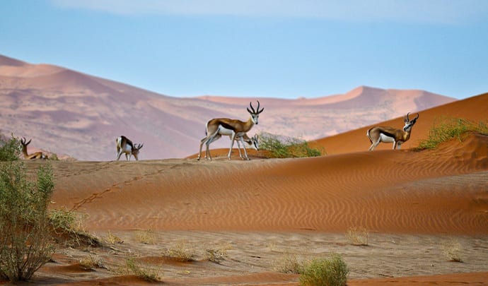 Where to go on vacation in July: Namibia