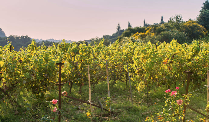 Where to go on holiday