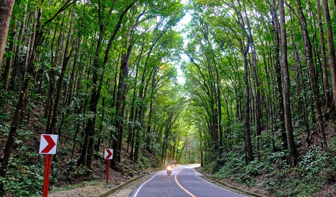 Biking in Bohol