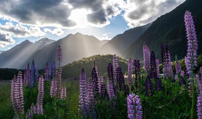 New Zealand adventure