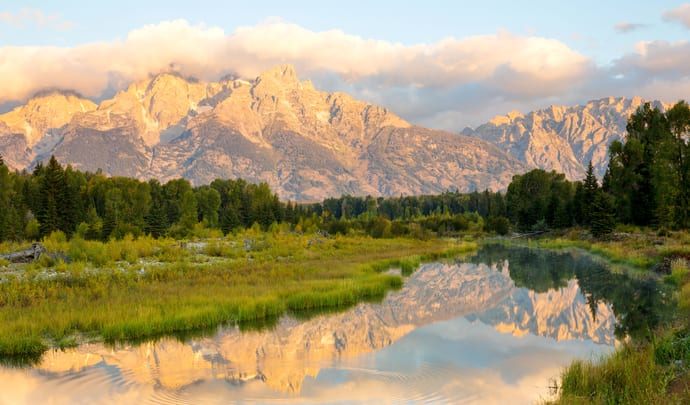 Fly to Napa with Surf Air x Black Tomato