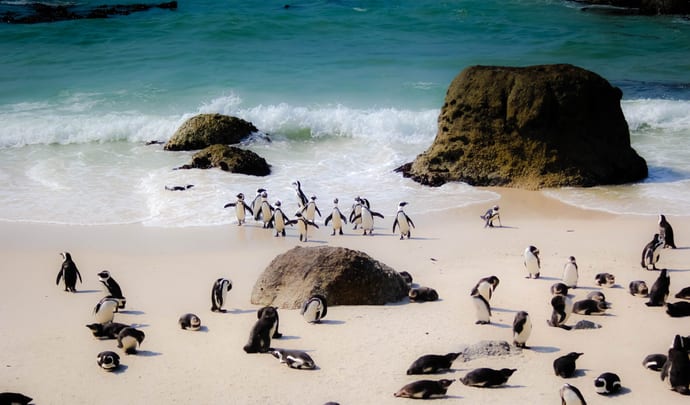 Wildlife photography Field Trip,