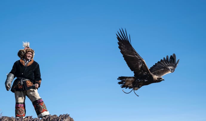 A bird of prey released by  a nomadic community in Mongolia, Asia