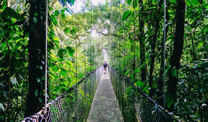 Hanging bridges, Costa Rica