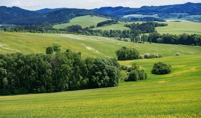 Wallachia Valley, Romania
