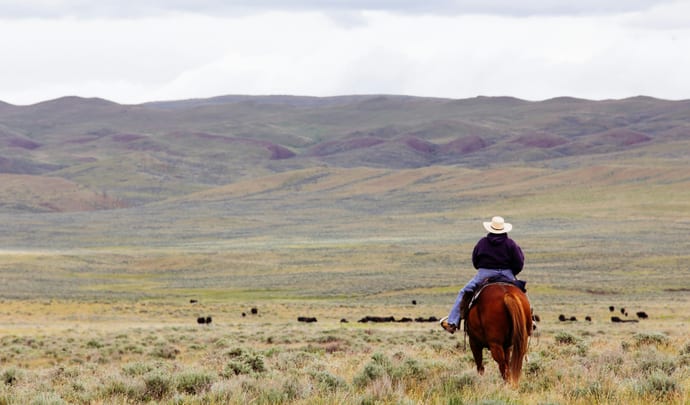 Horseback riding in Montana, USA