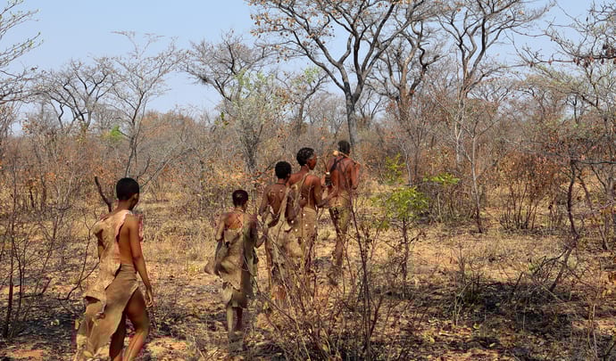 san bushmen in namibia