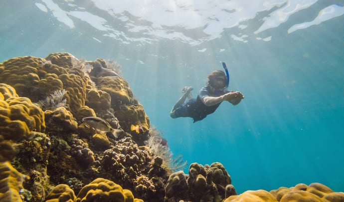 Snorkeling in Hawaii