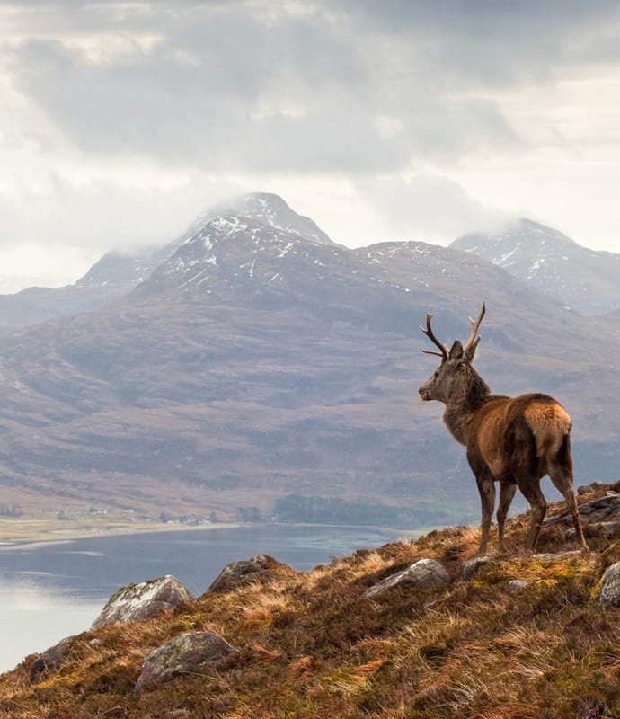 Scotland