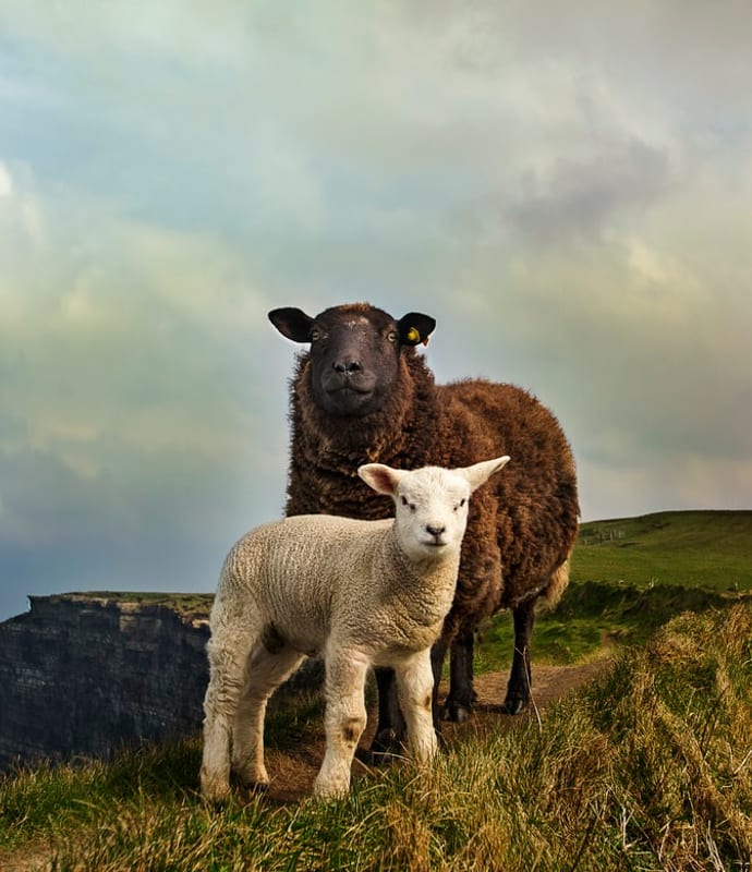 Ireland