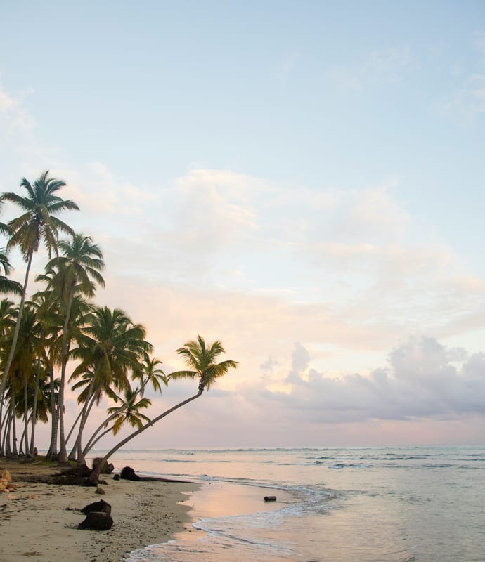 Palm beach in Dominican Republic