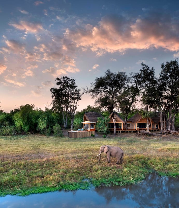 Tawana, Moremi Game Reserve, Botswana