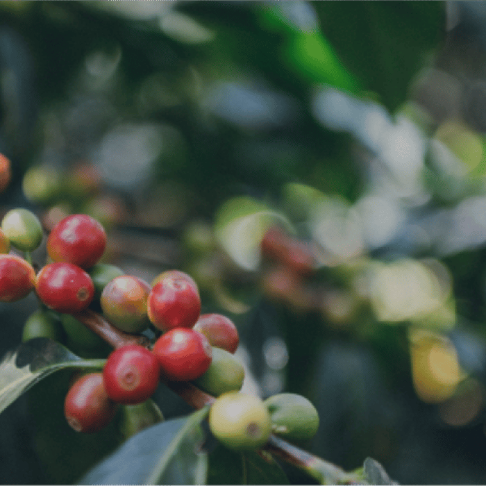 Guatemala, One Week to Wander, Black Tomato, Luxury Travel