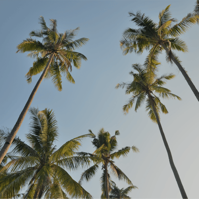 Jamaica, One Week to Wander, Black Tomato, Luxury Travel