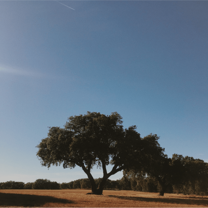 Portugal, One Week to Wander, Black Tomato, Luxury Travel