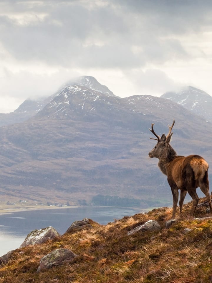 Scotland