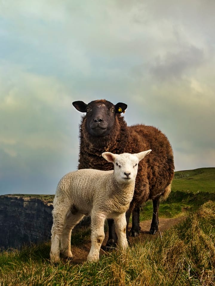 Ireland