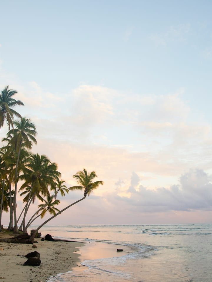 Palm beach in Dominican Republic