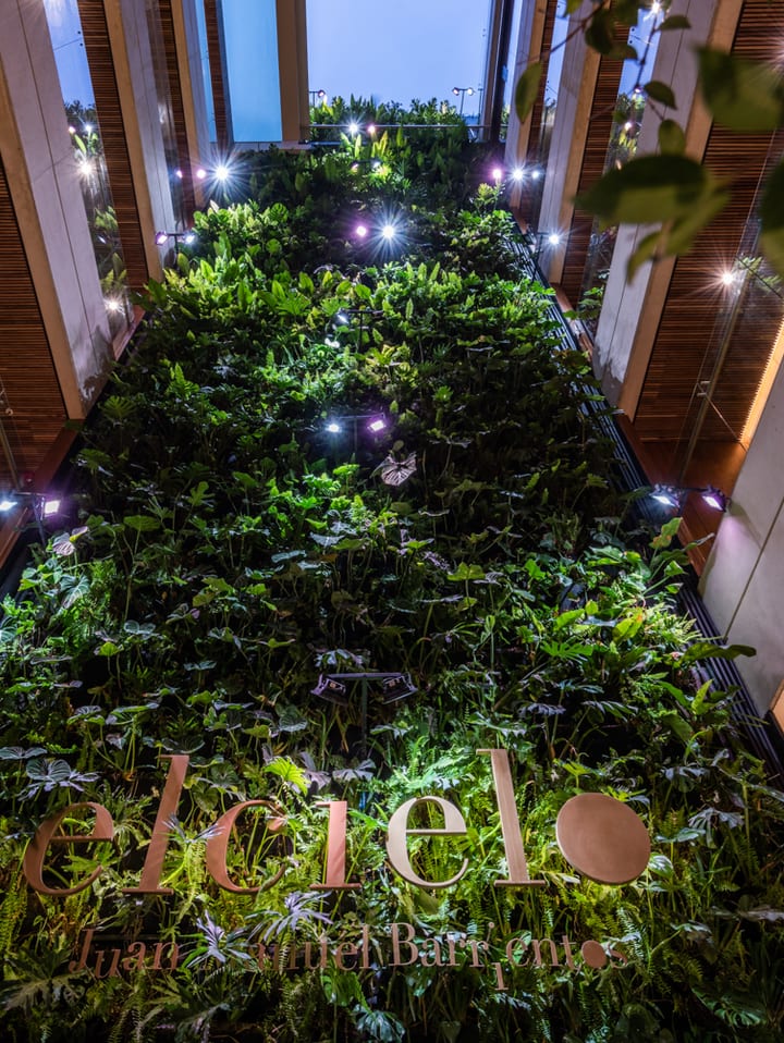 Elcielo Muro Verde