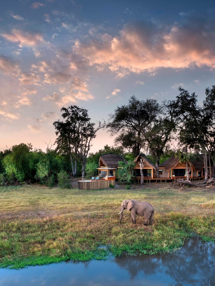 Tawana, Moremi Game Reserve, Botswana