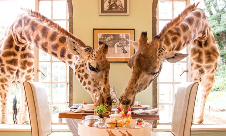 Giraffe Manor, Kenya