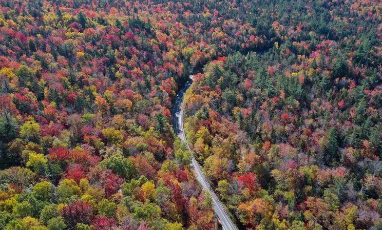 New England