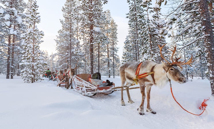 Where to go on holiday in February: Finland