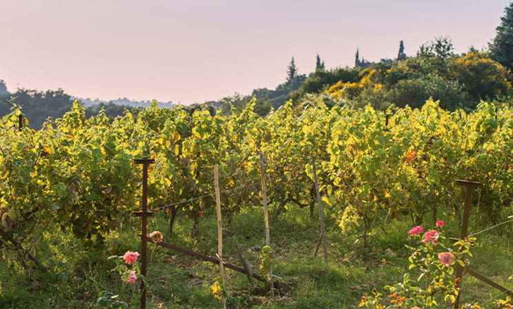Where to go in September: luxury France holiday