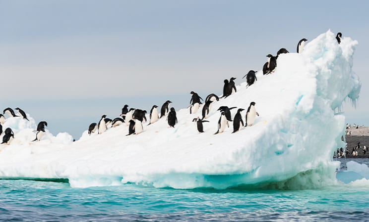 Where to go in December: a luxury Antarctica expedition
