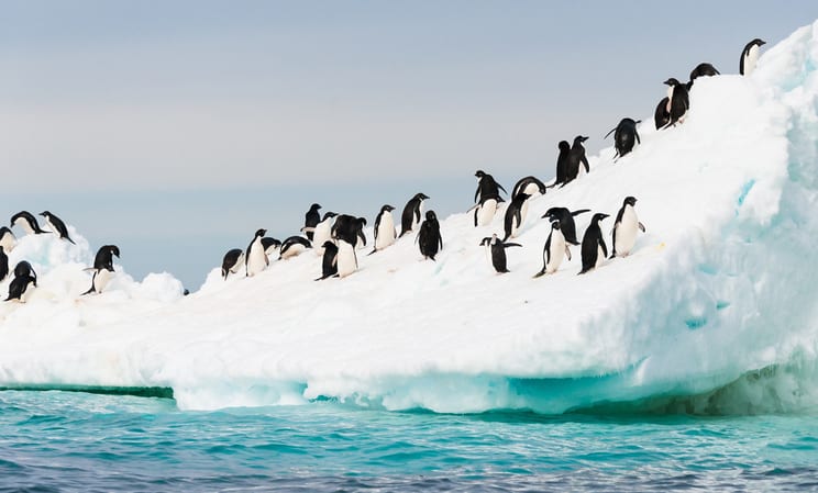 2021 Antarctica Solar Eclipse
