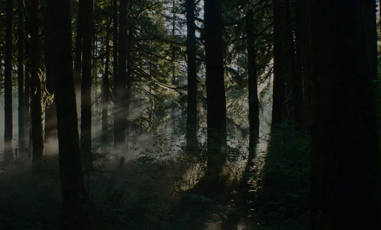 Get Lost