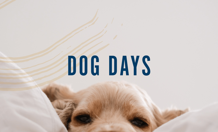 Black Tomato - The Rider