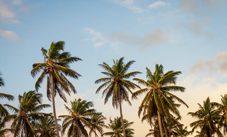 Luxury Travel Caribbean