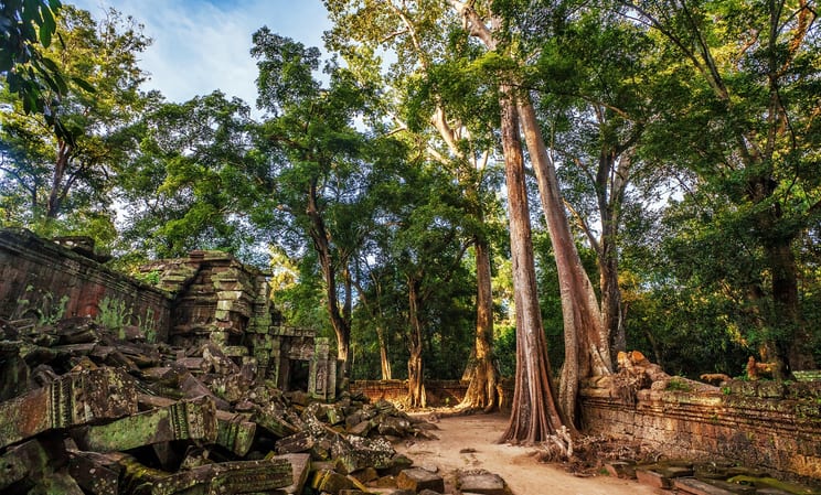 Angkor wat temple jungle ruins in cambodia