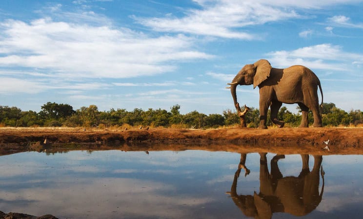 Luxury honeymoons in Botswana