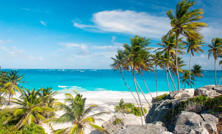 Honeymoons in the Caribbean